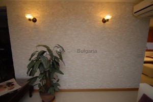 object image