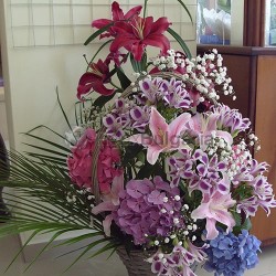 object image